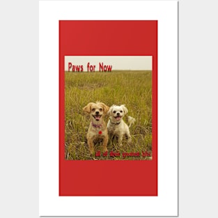 puppies in the field Posters and Art